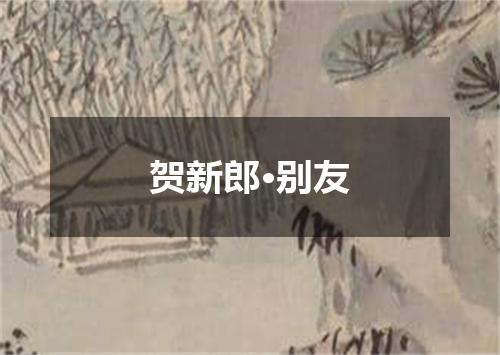 贺新郎·别友