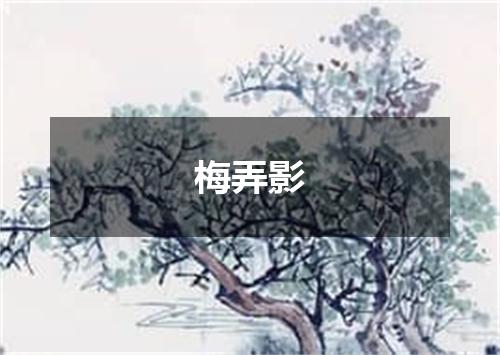 梅弄影