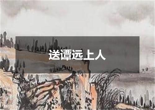 送谭远上人