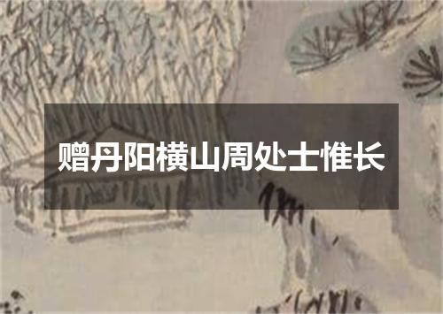 赠丹阳横山周处士惟长