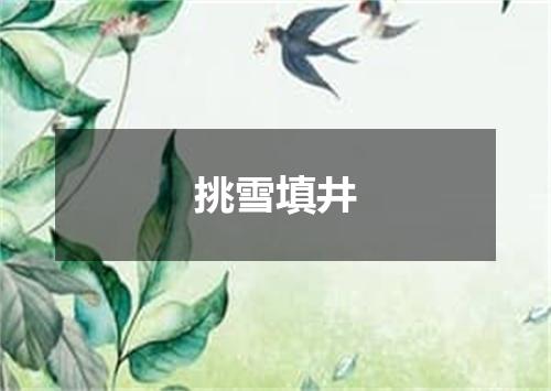 挑雪填井