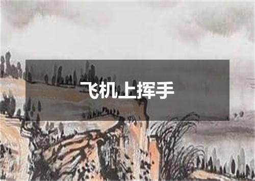 飞机上挥手