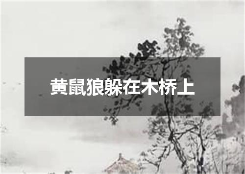 黄鼠狼躲在木桥上