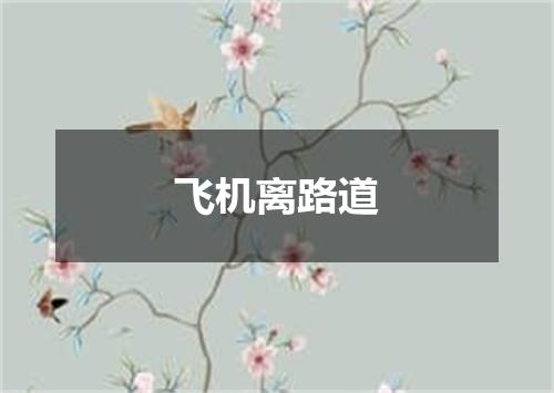 飞机离路道