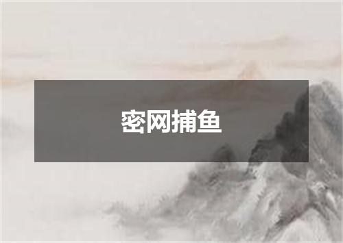 密网捕鱼