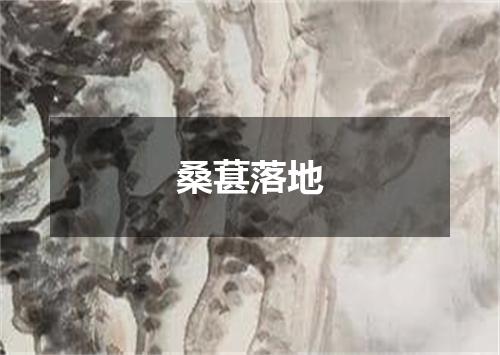 桑葚落地