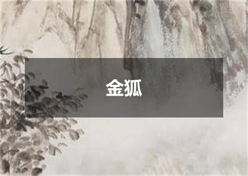 金狐